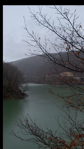 20 Seconds of Light Drizzle Over a Quiet Lake #fyp