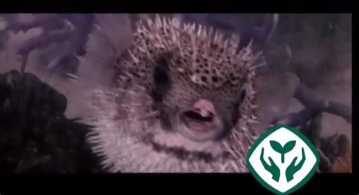 012-多种多样的生态系统