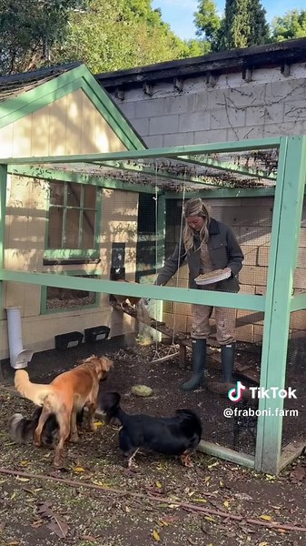 Spring Awakening: Eggs and Flowers on the Farm