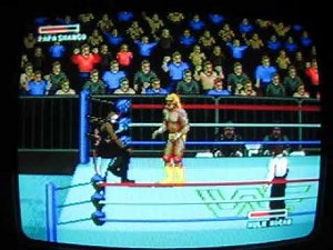 WWF Super Wrestlemania for the Sega Genesis