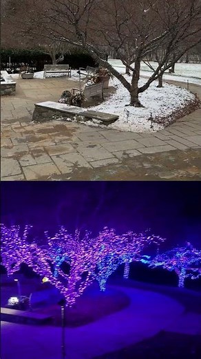 Garden of Lights Transforms Brookside Gardens