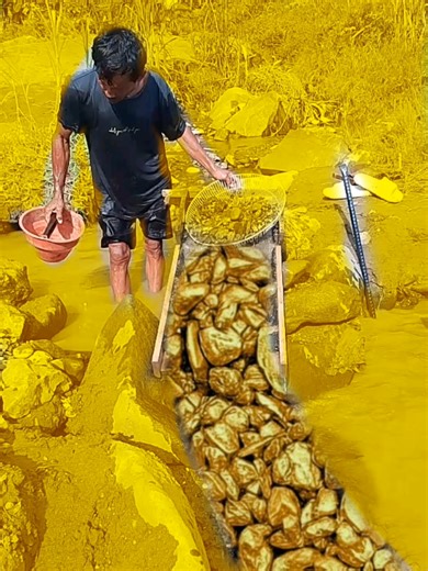 Separating Gold from Stone: A Step-by-Step Guide