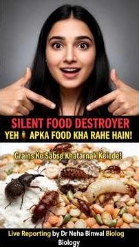 Stored grains safe lagte hain… but kya aap inke hidden enemies jaante ho? 🐜