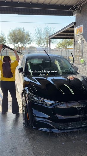 Safer Hand Wash for All Cars in Houston