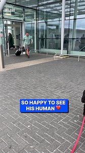 Puppy is super excited to cuddle human dad 🥺 | Daily Mail Entertainment