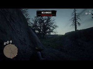 Red Dead Redemption 2 MULTIPLAYER