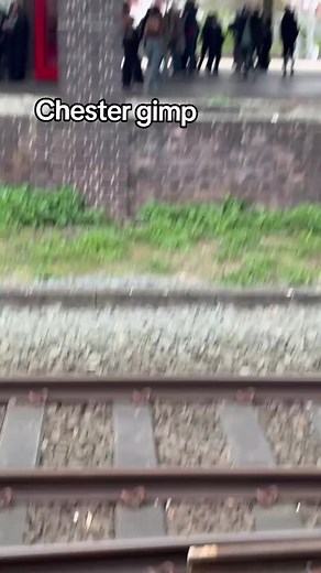 Chester the Gimp: A Dog's Tale in Telford