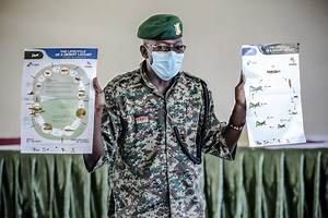 Becoming heroes in the fight against desert locusts