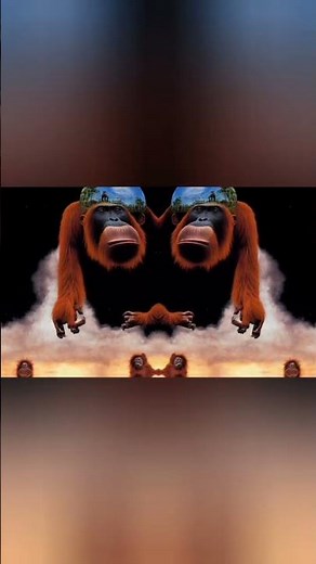 Pink Floyd - Time | (PART 1)