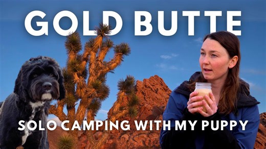 Solo Desert Camping with Puppy at Gold Butte