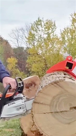 cutting thick tree trunks using a powerful orange chainsaw into smaller segments in a messy forest