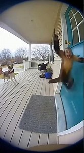 Monkey get scared of dog😂 #funny #trending #ringdoorbell