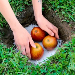 5.1M views · 10K reactions | Easy tips to keep food fresh for longer! No more waste!  | 5-Minute Crafts | Facebook