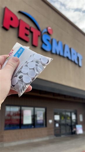 April Fool’s strikes at PetSmart 👀🤭 #anythingforpets #petsmart