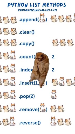 Python với kiểu dữ liệu #list siêu dễ nhớ - dễ hiểu không nhầm lẫn 😍🤪🤪🤪 | Bwai Lab