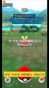[포켓몬고] 세계최초 과사삭벌레 이로치 발견!!?