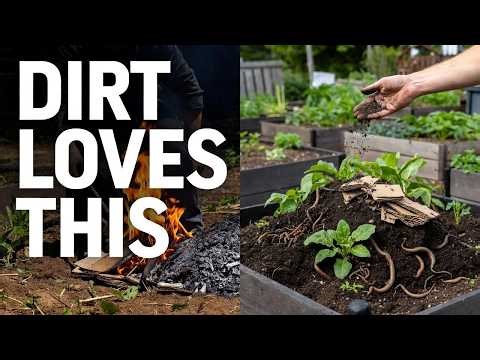 Gardeners Are Burning Cardboard Wrong — The Soil-Building Ash Trick That Doubles Soil Life