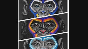 Serie A chief apologises for monkey artwork in anti-racism campaign