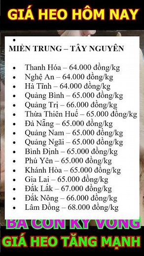 GIÁ HEO TĂNG MẠNH #shorts
