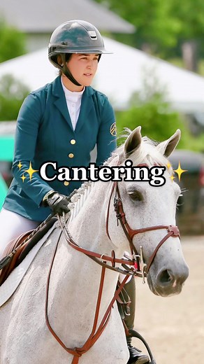 Cantering Techniques: Tips for Equestrian Success