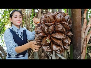 Bring nypa palm fruit home for sour curry | Nypa Fruticans harvesting | Fruit special sour curry