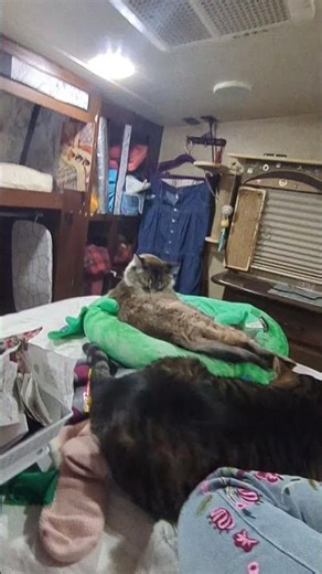 I love a good cuddle puddle, even if it's a bit disjointed.