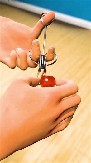 Effective Ways to Carry Food at Home