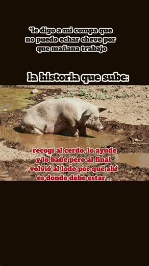 jajajajjaa #humor #amigos #fypシ #animo #compas #méxico