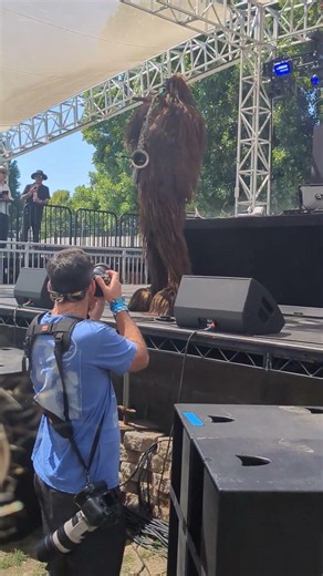 POV: You're at a music festival and a Sasquatch playing the saxophone walks on stage 🤯