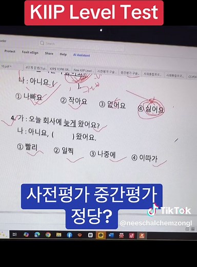 KIIP Level Test Questions: A Comprehensive Guide