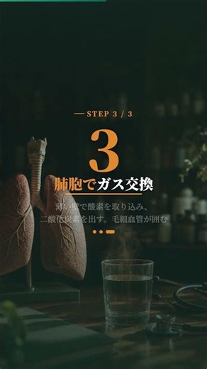 【登販】呼吸器系の働きを60秒で総ざらい｜気道・防御機構・ガス交換