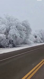78K views · 128 reactions | Snow and ice covered parts of Alpine, Texas, as a winter storm hit the state on January 2. Winter storm warnings were issued across west-central Texas. Also see: https://trib.al/O4vLbBL | Global News | Facebook