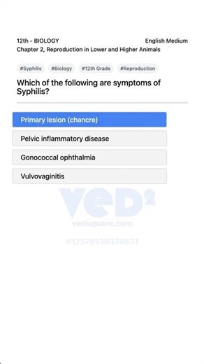 Syphilis Symptoms BIOLOGY 12th Reproduction Chapter