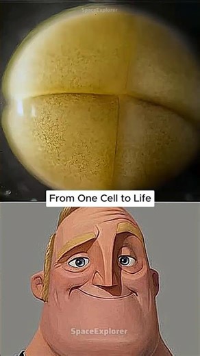 The Most Beautiful Science Video You'll Ever See #space #science #technology #biology #experiment