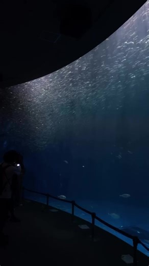 バレンタインの日に捨てられたチーズケーキの悲しみ