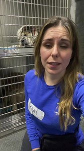 HAPPENING NOW: PUPPY MILL RESCUE IN OKLAHOMA ‼️ Our Animal Rescue Team is on the ground in Johnston County, OK working with local law enforcement to rescue 150+ dogs and puppies from alleged neglect at two large-scale puppy mills.  Please, rush an urgent donation to help us get these dogs and puppies to safety and support all our lifesaving work. | Humane World for Animals | Facebook