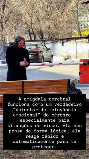 Amígdala cerebral