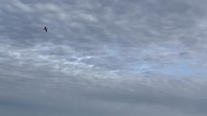 Talkin-To-Em ‼️ Greenhead Gear Avery Outdoors JEBS Choke Tubes Banded Gear Avery Superstore Good Girl Outfitters | Twist’em Up Guide Service