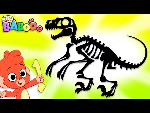 Baboo finds DINOSAUR BONES | Club Baboo Junior | Learn dinosaur names for kids | T-rex, Velociraptor