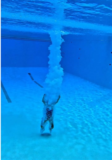 Sit down king 😂👑 #BraveGang | the pool guy