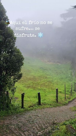 Aquí el frío no se sufre… se disfruta. ❄️ Neblina, humedad y montaña viva. 📍 Cerro El Pital, El Salvador. #foryou #montañas #elpital #ClimaFrío @El Salvador Travel