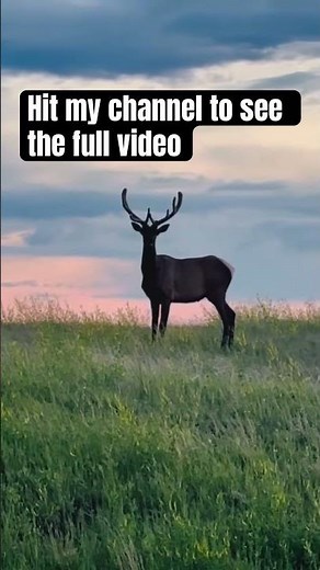 North Dakota Camping Trip: Off Grid Camping #camping #offgrid #northdakota #family #familycamping