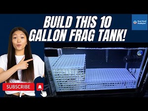 Small and Easy DIY 10 Gallon Sumpless Frag Tank - EPISODE 1