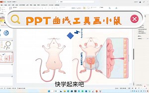 PPT曲线工具画小鼠