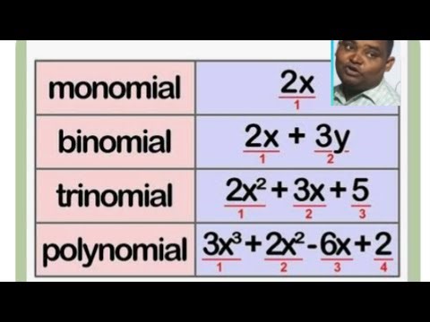 Use of polynomials