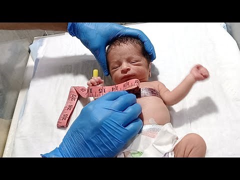 Premature Newborn Baby Head-to-Toe Assessment | NICU Vital Signs & Measurements for Education