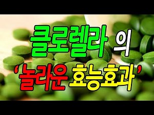 [효능백과사전] 클로렐라 효능, 클로렐라 놀라운 효능효과 꼭 알아야 할 7가지 정보, 먹는방법, 문헌정보, 뉴스 자료, 실제사례