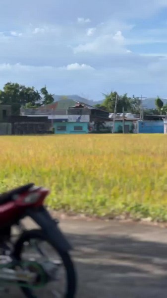 Nice 110 Street Bike Compilation with Candy Red Paint