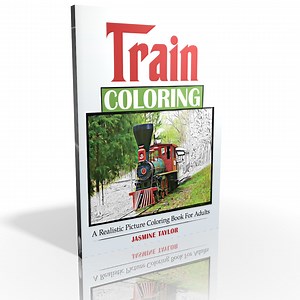 Train Coloring: A Realistic Picture Coloring Book for Adults - Etsy