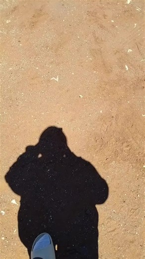 Shopping Fun: Beginner's First Vlog Experience